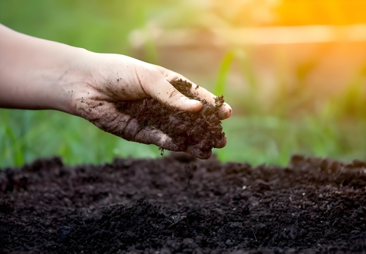 The Difference Between Amino Acids, Humic Acid, and Fulvic Acid